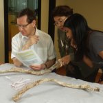 Il Prof. Adrian Lister, la Dott.ssa Leila D'Souza del Natural History Museum di Londra e la Prof.ssa Bonfiglio durante lo studio di alcuni reperti fossili